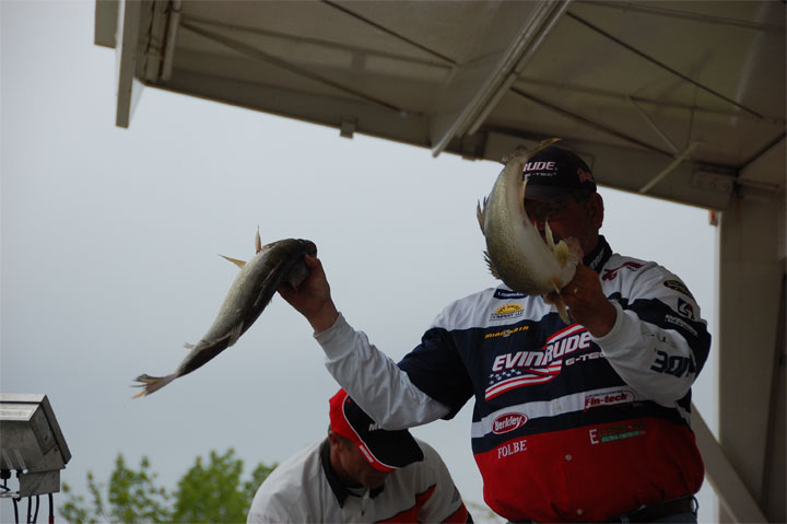 C96268EF-CF95-4864-8B64-864F07060D9A