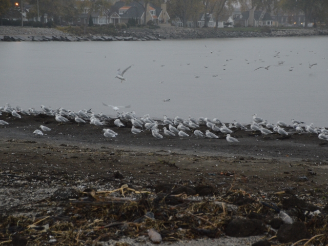 C99EFA03-AFA4-45BA-84DD-224F5AD535AC