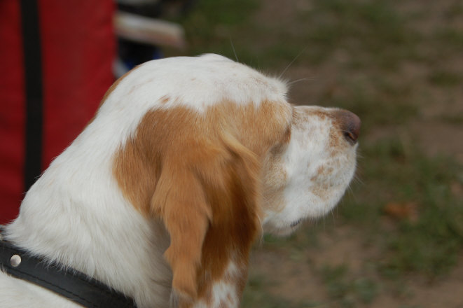 C9EBF918-8017-4529-85BA-F7D63320F17B