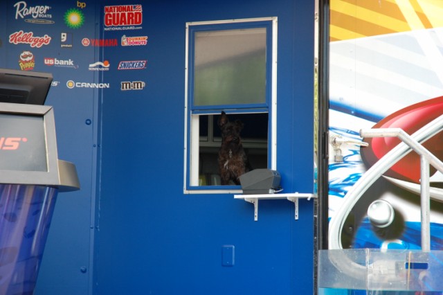 CA8464E0-16C2-428E-8D6E-0DF365AD0B96