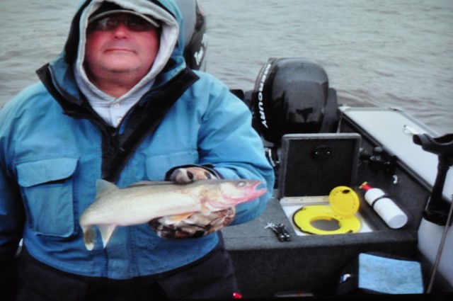 CB2E8CB9-BDEB-422C-9CB9-F6F9568972FE