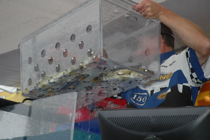 CB5541C6-2315-4BE9-8255-1B9CFD90796E