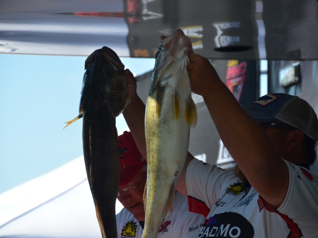 CBCCC810-D85E-4DF2-B89E-38B3CCF57DE2