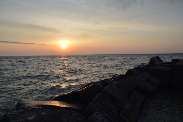 CC7A6E1D-F6FA-4946-A654-9F24097C44F5