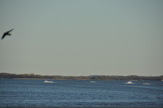 CCE8A22C-8FBA-45A1-AD29-7AEFC427C60C