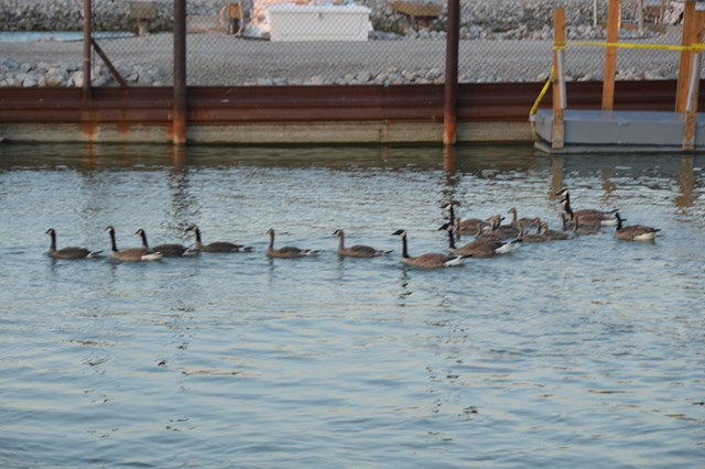 CDA19285-8F31-4BE3-9173-F08D23D22BAC