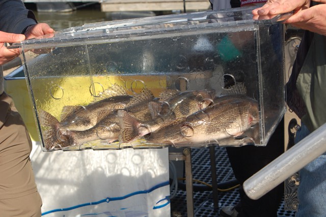 CDA863B6-0427-41F4-A957-F5D84DCBA006