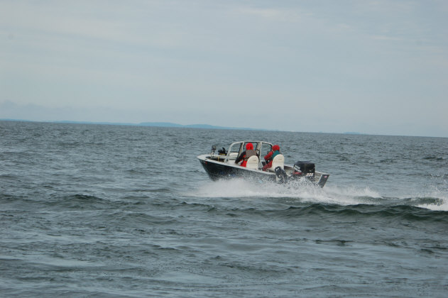 D000198D-9BD7-430A-8933-5079EC29A001