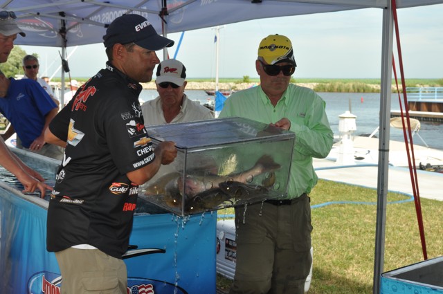 D0AE791E-4A6B-49C0-A229-3B7BFABF2EC2