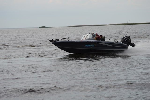 D11F9D40-C8B8-4ED8-8CA7-F17A1DFD3957