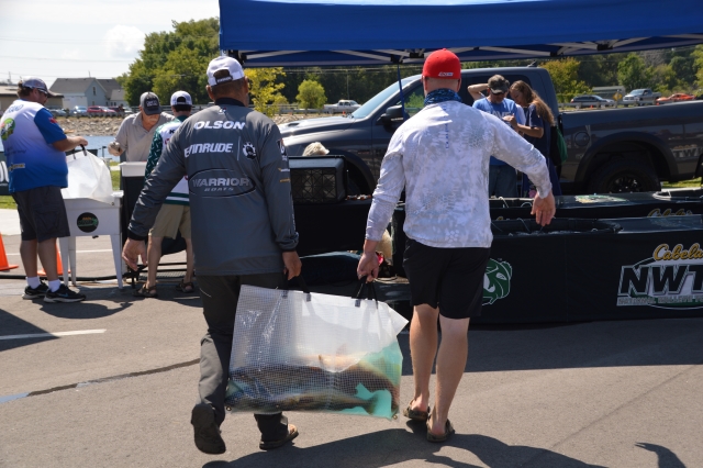 D1504199-68E7-46C3-B582-C9F40EDFF76E