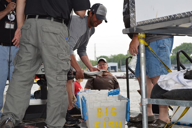 D1598545-B65F-45F2-A536-1FE1A1E6A016