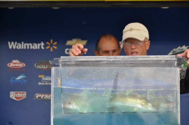 D1E3A24D-6DF1-4CED-A32B-D4C5779383AF