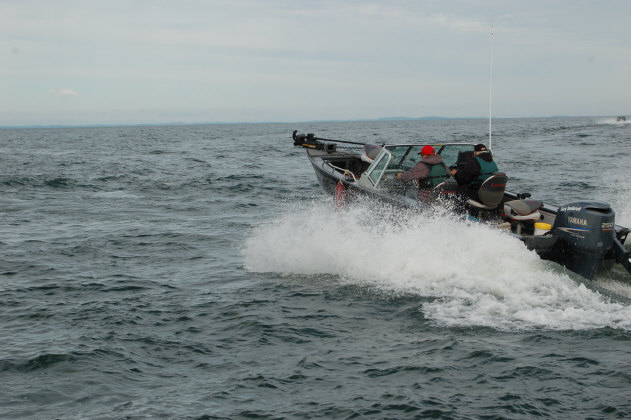 D23309B1-156F-4E8D-A698-94EF24802874