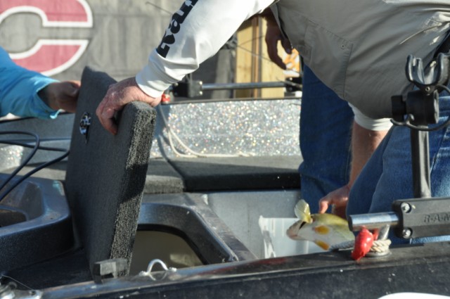 D2EB6FF7-B790-4784-981C-5DEE9ECA60FF