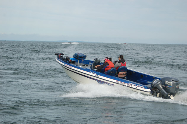 D33E2D88-5920-47E6-B65E-716CA7261822