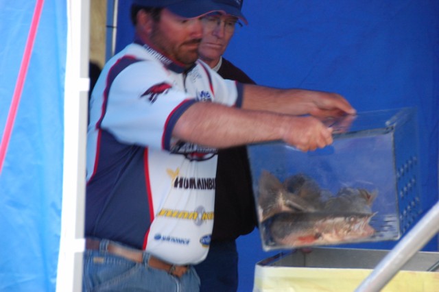 D3646F07-DB76-4840-AB11-25F1267CE4F5