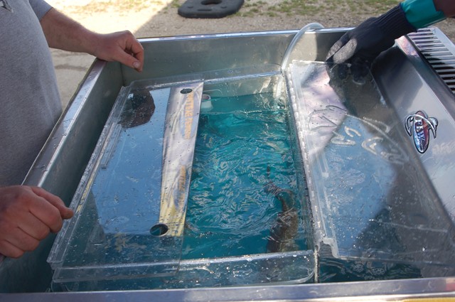 D38E13F0-F830-4AF7-B1A8-99CF0B7CB348