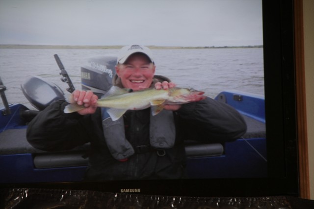 D3C68F56-13B7-45B1-9F4E-8C9B2D7B0D18