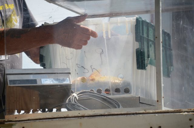 D3C8C635-A8E1-47F4-B74D-C15B3B87B9C7