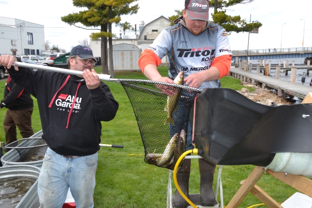 D3F7B091-897C-49A3-B1D4-CD3B9BE588D0