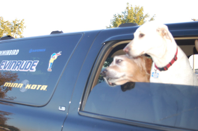 D436C2B5-FED1-4AD3-9931-6D45DC1ABB09