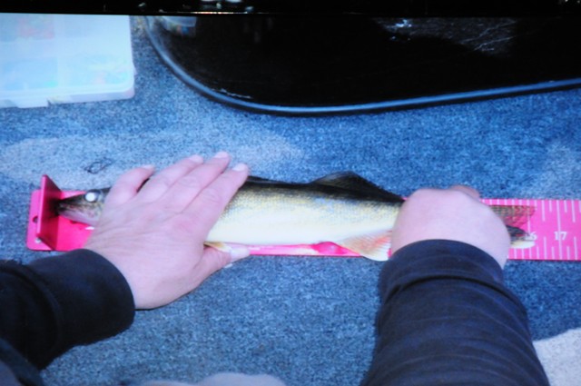 D50BECBE-A25B-4BD3-897F-A5882925D885