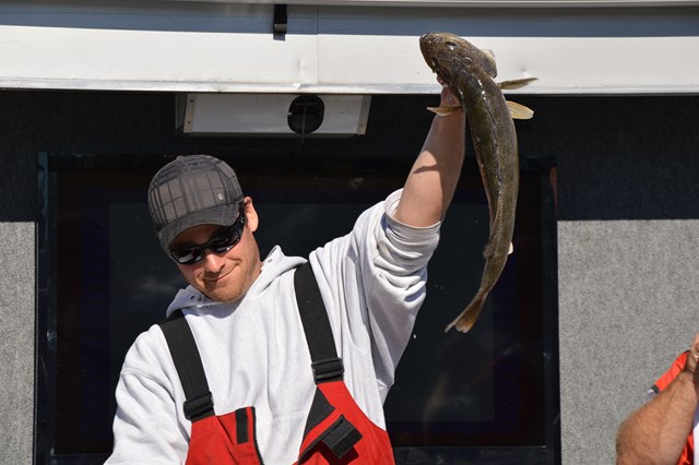 D547C18F-811E-4AA0-B9B5-D31E60B42332