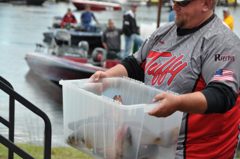 D55DCE95-E873-4296-B038-8DDF3063D963