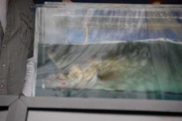 D5676780-689A-4522-9D49-0A4DA80CCA33