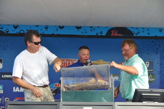 D619B385-DC94-456C-A032-E0E411D01A24