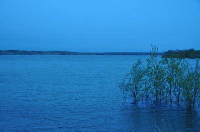 D65AF50B-1467-4E15-8B6E-C43A6862FBCD