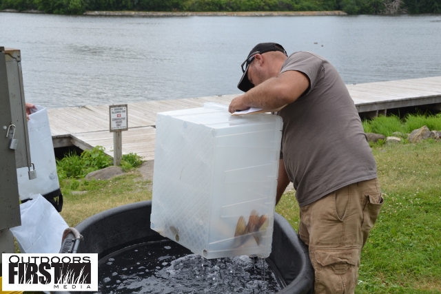 D7234613-1285-41AB-B225-D1E34A682AED