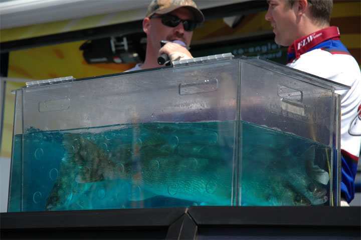 D756B977-6C65-413F-B43B-5804935839D4