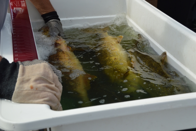 D7D57EAA-BF99-42A3-96D5-0B738B05BB21