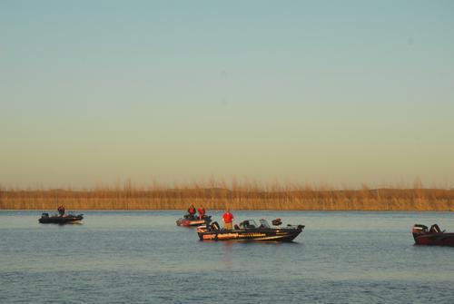 D7F1297A-185A-4B1A-94DD-BD91B3B3164C