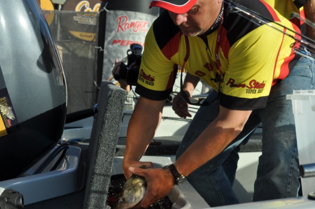 D8050995-D712-42E8-93A7-2FAE8A96875A