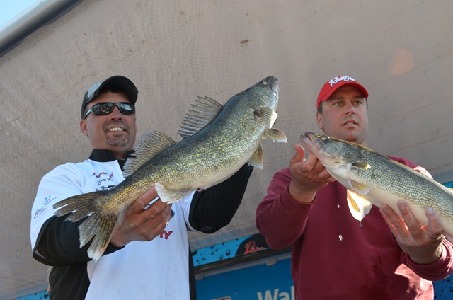 D9565E76-B7FC-4C7F-8F94-EDBC959B4CE2