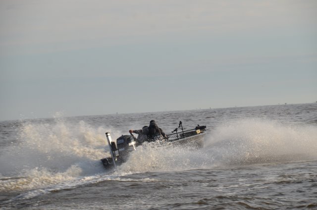 D9AA1690-D3F6-4F74-AD25-C2B63078B5E7