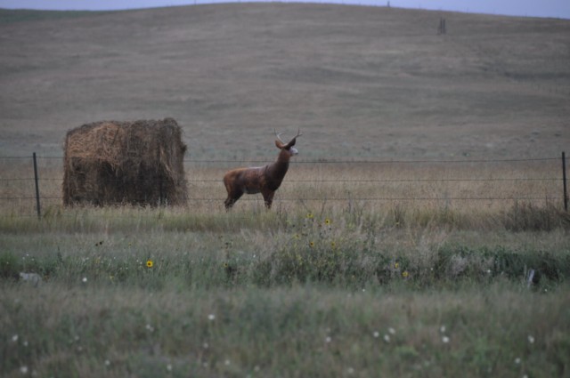 DB97BA61-30D4-45E4-9CDB-FA0CE040894D