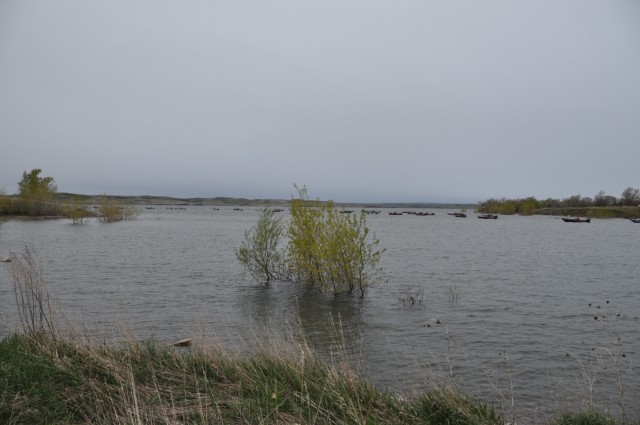 DC00CFDD-7DF5-41FD-B51A-64CF7B2B4133