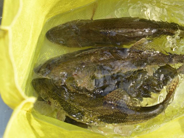 DC730826-F24B-49D9-8504-1BBC1FC18947