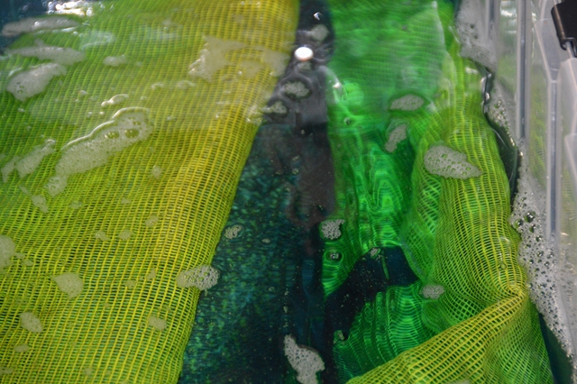 DD588A18-CC50-49FD-8D89-DE15700123C2