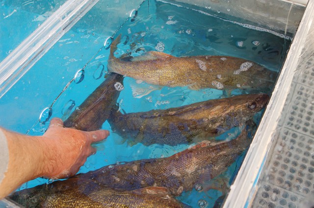 DD9A7318-6C31-4661-AB3E-619326323BD8