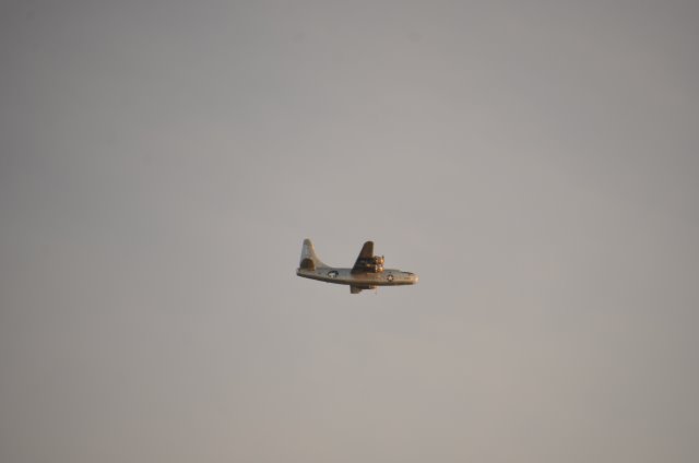 DE7A8817-CC1D-447A-8B19-89A6A589E612