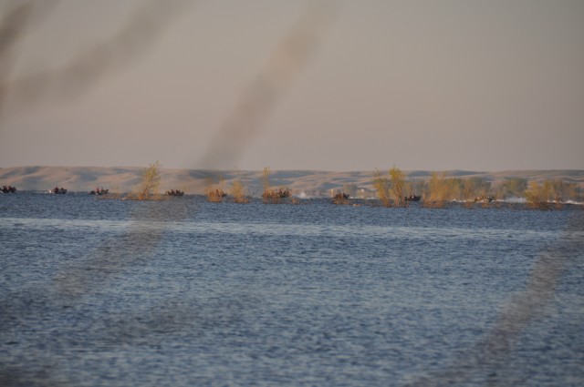 DE80DF25-D58A-4FBE-893F-CD4082E205D5