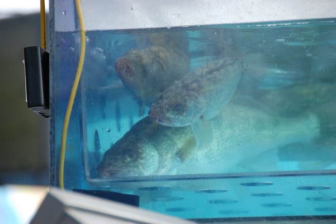 DEAD4790-FA4C-4F02-94B8-63FCF8DDF74F