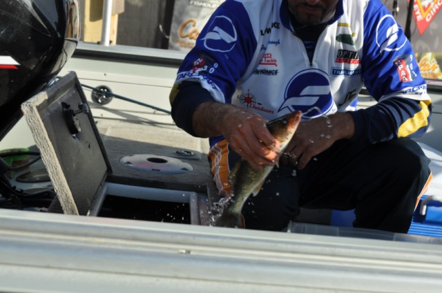 DEE43B71-FCC1-4508-8546-289163F2288C