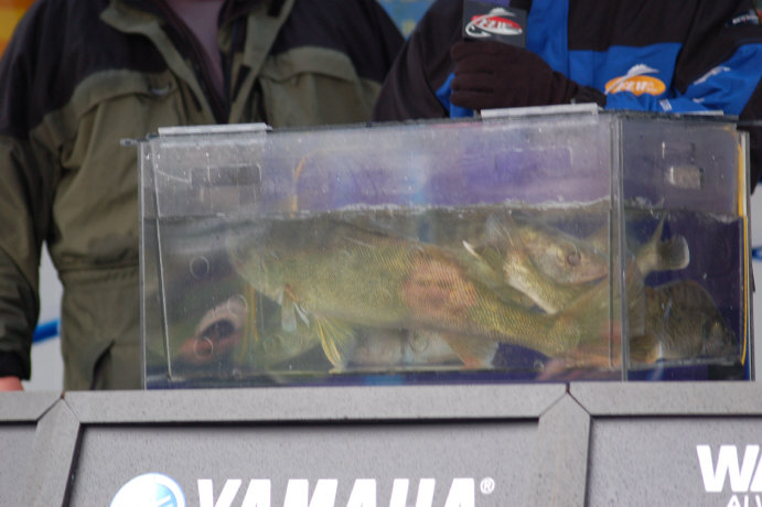 DF288CC5-4955-4826-B960-DE8A8AEE85B6