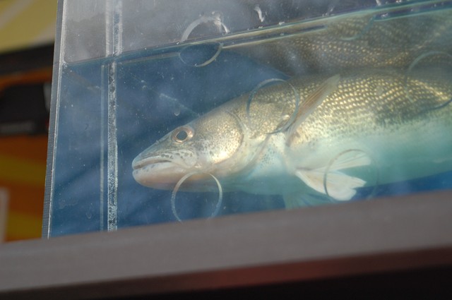 DFB80641-D1D4-4E0F-8976-131F2205D39B